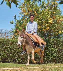 menino em cima do burro